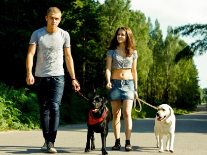 site de rencontre pour chien et chat