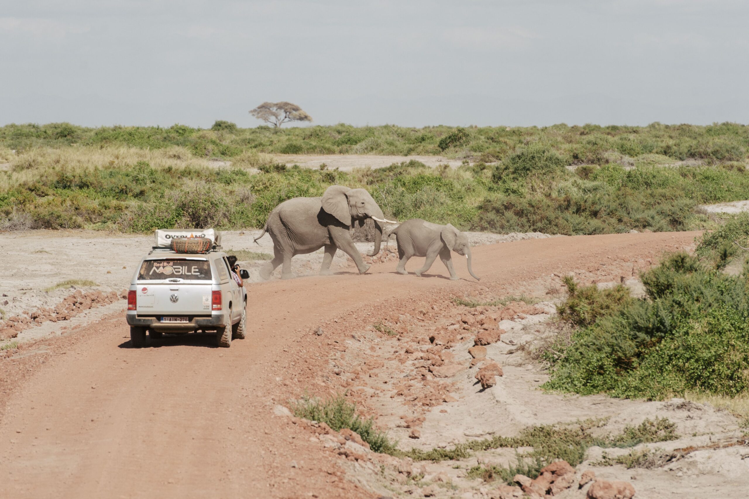 Explore: voyage en Afrique