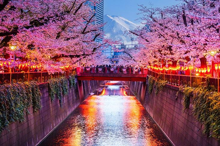 Voyager au Japon : informations pratiques