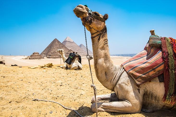 Op reis naar Egypte: praktische informatie