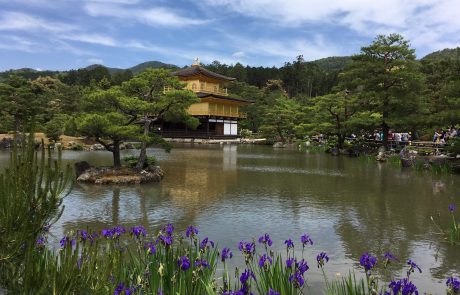 A la découverte du Japon: quelques conseils de voyage