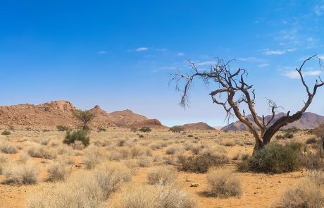 Voyager en Namibie : informations pratiques
