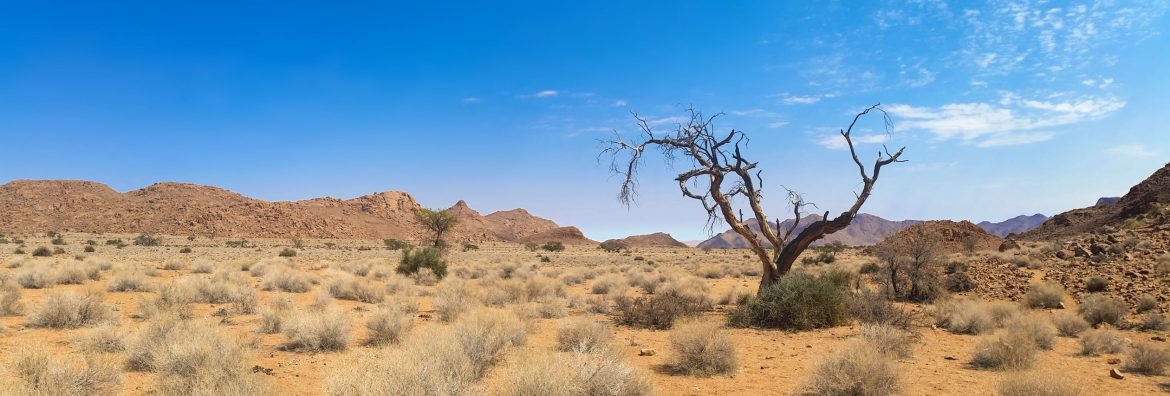 Op reis in Namibië: praktische informatie