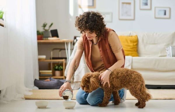 Trouver un pet sitter pour votre chien ou chat pendant les vacances