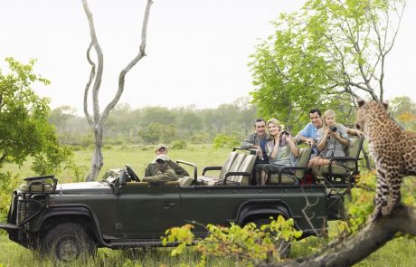 Partir en safari : comment faire?
