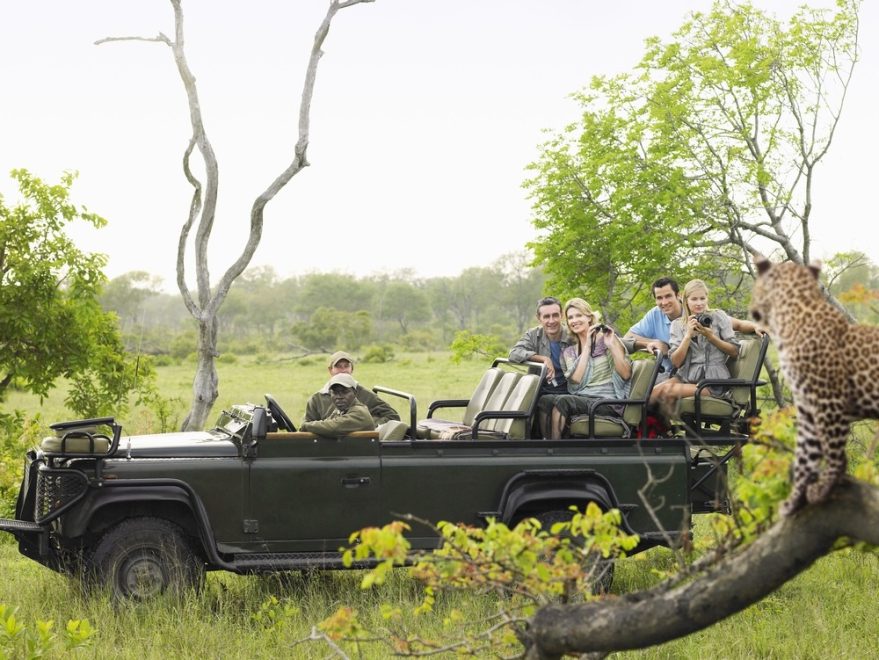 Op safari gaan: nuttige weetjes