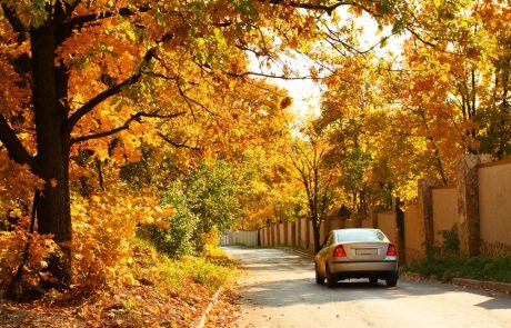 La conduite automobile en automne