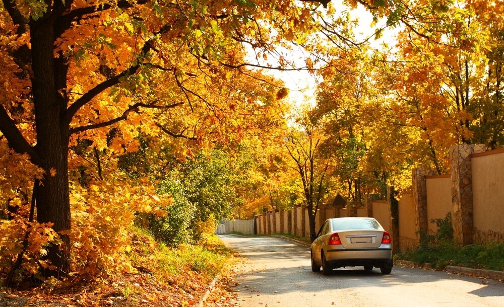 Veilig rijden met de wagen in de herfst