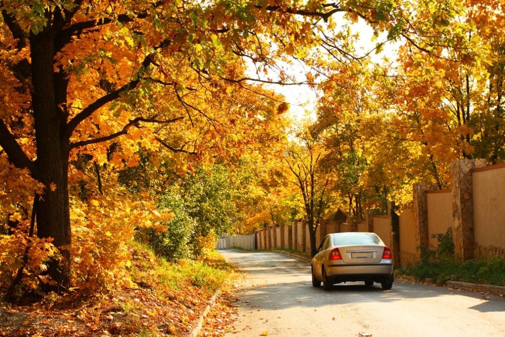 La conduite automobile en automne