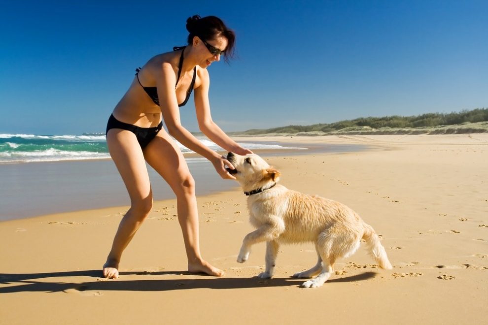 Met de hond naar het strand